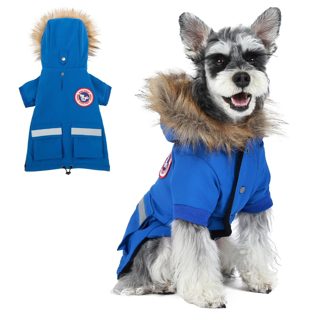 Manteau PINA imperméable pour petit chien avec capuche en fourrure.