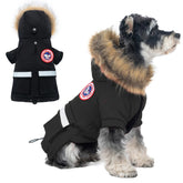 Manteau PINA pour petit chien avec capuche en fausse fourrure protège du froid.