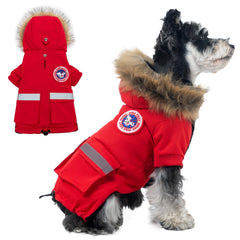 Veste PINA pour petit chien imperméable, idéale sous la pluie légère.