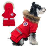 Pina veste petit chien imperméable et coupe-vent pour sorties pluvieuses.