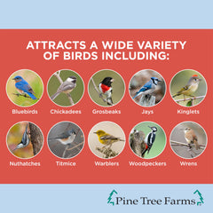 Pine Tree Farms bûche-graines-arachides: énergie durable pour oiseaux actifs.