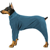 Manteau d'hiver Pinellia pour chien turquoise, vue de face, confort thermique pour promenades.