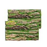 PINVNBY arriere-plan ecorce-terarium : cadre naturel durable pour votre reptile.