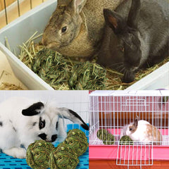 PINVNBY boules-foin-lapin, jouet sûr pour petits animaux et lapins.