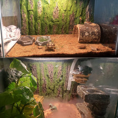 PINVNBY décor pour dragon barbu pour terrarium réaliste et sûr