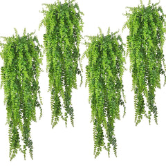PINVNBY Plantes suspendues décorant terrarium Boston avec ventouses robustes.