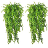 PINVNBY Plantes pour terrarium suspendues Boston, décor naturel et installation facile.