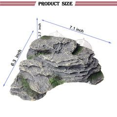 PINVNBY plateforme-tortue trapezoidale: facilite l'escalade et l'exercice