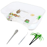 PINVNBY tortue terarium plastique transparent, vue claire pour observer votre animal