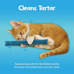 Pioneer Pet Nip Nibblers chat en mordillement, activité et distraction.