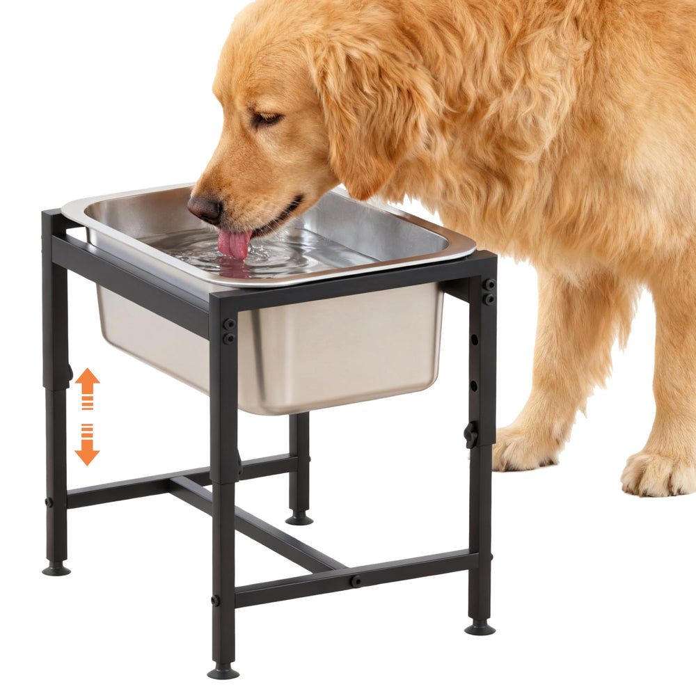 Piskyet gamelle d'eau surélevée pour chien, hauteur reglable adaptée aux grandes races.