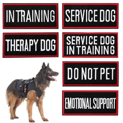 Patch service en formation Pistha: identification pratique lors des entraînements.