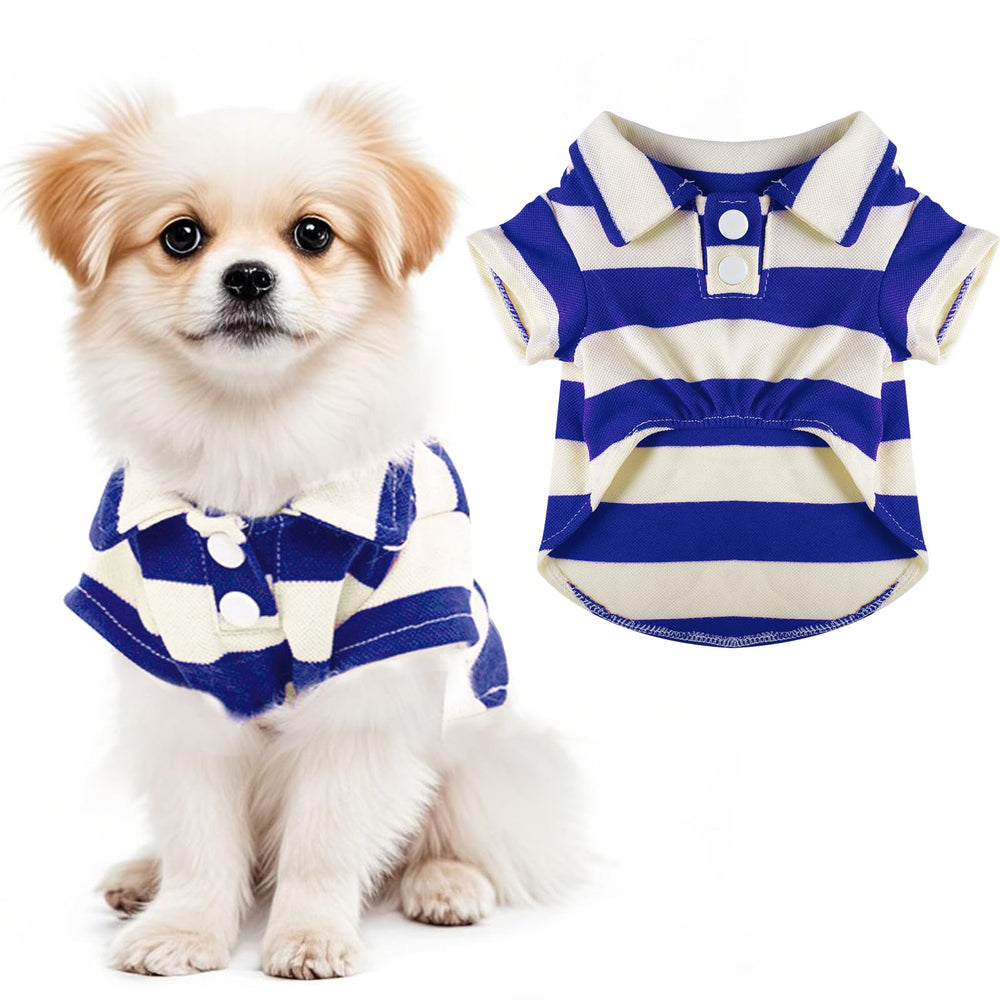 Pistha chemise chien polo rayures bleu royal pour un look estival confortable.