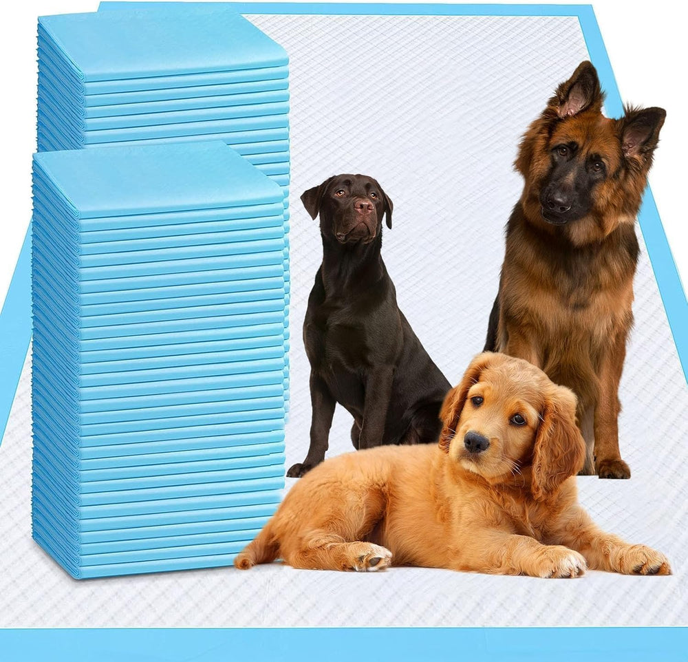 PJYRTOQ tapis-pipi absorbant 36x55, protection rapide des sols.