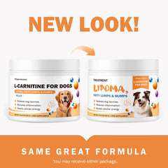 PKperekond lipomes chien: équilibre des graisses et confort