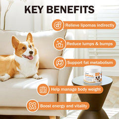 PKperekond gélules L-Carnitine: énergie et mobilité pour chien actif