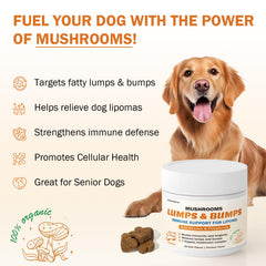 PKperekond gommes champignons queue de dinde chien prêt à croquer