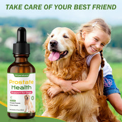 PKperekond Racine d’Echinacée — soutien immunitaire pour chien.