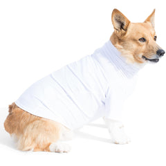 Haut PlayaPup pour chien – protection UV50+ pour activités extérieures.