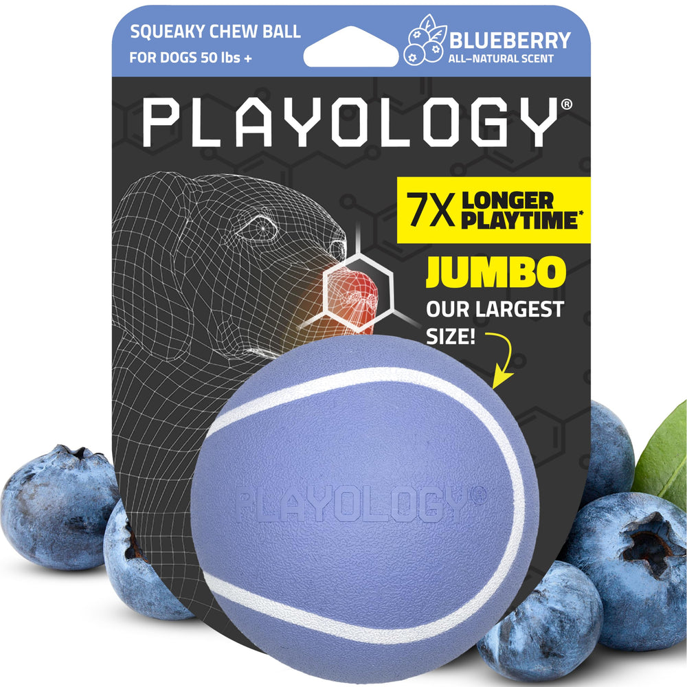 Playology Balle sifflet gros bleu myrtille, stimule l'attention et le jeu de récupération.