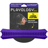 Playology jumbo: jouet dentif stick au porc idéal pour grands chiens.