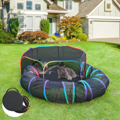 PLITTPETTS enclos chat exterieur, arche arc-en-ciel, idéal pour jeux en plein air.