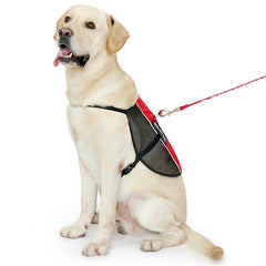 Gilet PLUTUS PET léger, idéal pour les journées chaudes et les activités extérieures