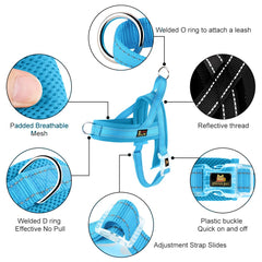 Harnais PLUTUS PET ajustement rapide pour enfiler facilement.
