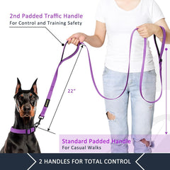 Laisse Plutus Pet poignee trafic rembourree pour zones urbaines.