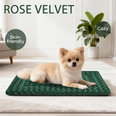 Pobopobo Tapis intérieur-extérieur pour chien, usage polyvalent et robuste