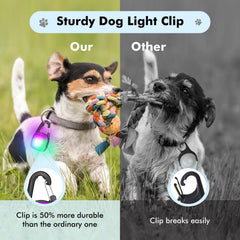 Clip POEEY durable pour collier chien, résistant au tirage.