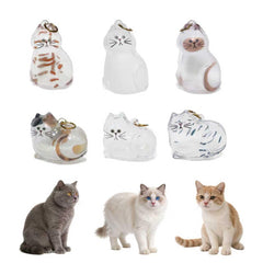Porte-clés capsules transparentes pour poils de chat avec gravures variées, mémorial individuel.