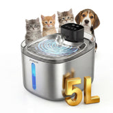 Pokpet fontaine eau chat et chien 5l acier inoxydable, corps durable pour hydratation hygiénique