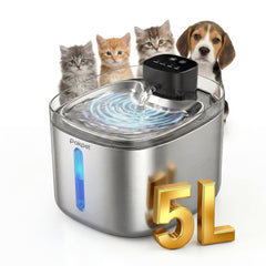 Pokpet fontaine eau chat et chien 5l acier inoxydable, corps durable pour hydratation hygiénique