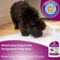 PoochPad Spray usage sur gazon artificiel intérieur et extérieur