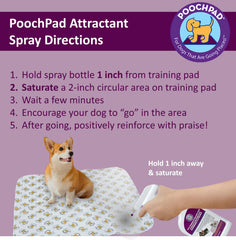 PoochPad Spray démonstration sur zone-designée pour le dressage du chien