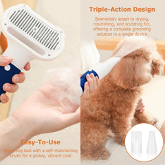 POPET Sèche-poils Pro 3-en-1 avec brosse-massage démêlant.