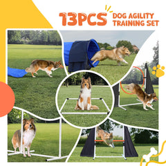 PopMoon tunnel pliable pour chien: montage rapide et pratique en interieur