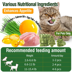 PuPoPan herbe-chat-sante-dentition: ingrédients naturels pour soutenir l’appétit et la digestion.