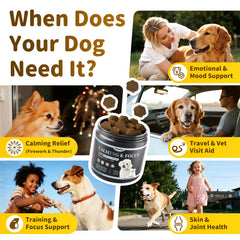 POPPAW compléments dotes d lavande et magnésium pour chien, ambiance plus calme.