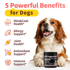 POPPAW peau et poil chien — texture soyeuse et pelage brillant après utilisation