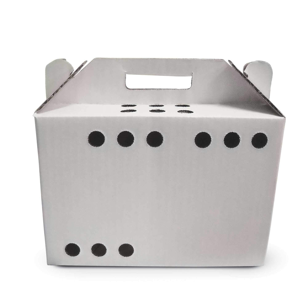 Porte-animaux en carton pour petits animaux, transport sûr et léger lors des déplacements.