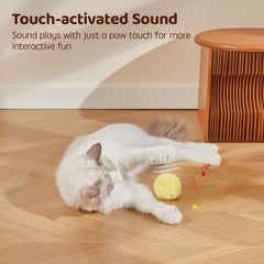 Potaroma balle-jouet-chat-chant-oiseau-3 favorise l'exercice quotidien et l'engagement.