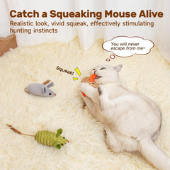 Potaroma jouet chat léger, facile à lancer et attraper pour chats et chatons.