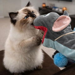 Pounce Purr Meow Mitt: les sons crissants stimulent la chasse et l’attention du chat