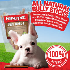 Powerpet bâton boeuf naturel sans odeur; soutien à la dentition et gencives.