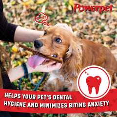 Powerpet bâtonnet bully favorisant l’hygiène dentaire lors du mâchage régulier.