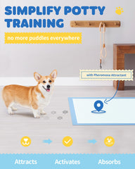 Powools tapis 6 couches, absorption rapide et efficace