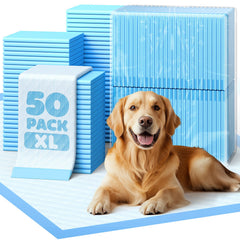 Powools tapis absorption 6 couches pour chiots, absorption rapide et nettoyage facilité.