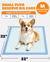 Powools tapis chiots 6 couches: grande capacité d’absorption quotidienne.